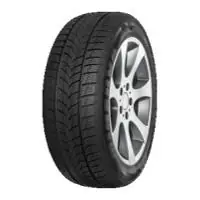 Aktuell Minerva Frostrack UHP 255/45R18 103V XL