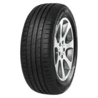 Aktuell Minerva F 209 205/70R14 95T