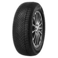 Top-Preis Minerva Frostrack HP 205/65R15 94H