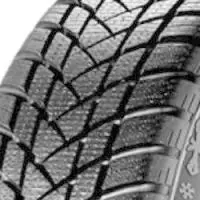 GT Radial Winterpro 2 155/70R13 75T Neu