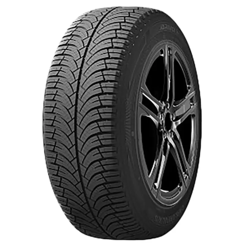 Kracherpreis ARIVO CARLORFUL A/S 255/45R20 105W XL BSW