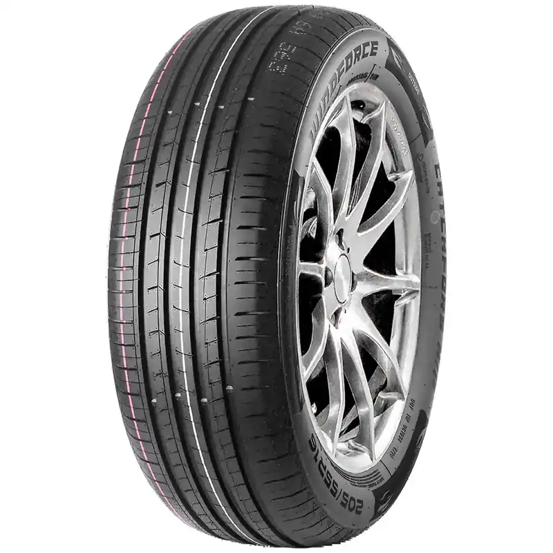 Angebot WINDFORCE CATCHFORS H/P 205/60R15 91V BSW